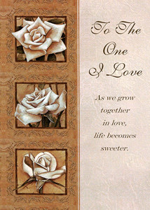 Anniversary ANV303 - Front Cover