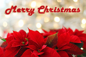 Christmas CHR113 - Front Cover