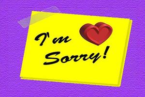 I'm Sorry SRY106 - Front Cover