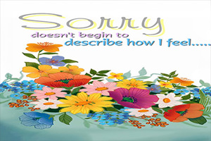 I'm Sorry SRY110 - Front Cover