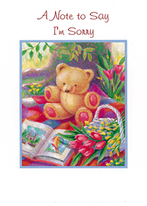 I'm Sorry SRY306 - Front Cover