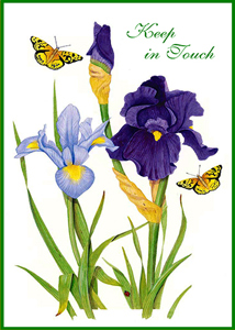 Keep In Touch KIT302 - Front Cover