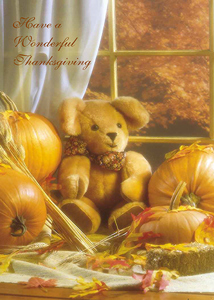 Thanksgiving THG300 - Front Cover