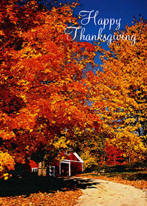 Thanksgiving THG307 - Front Cover