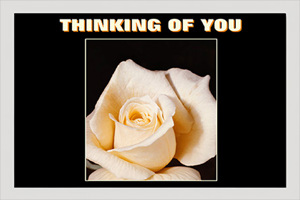 Thinking Of You TOY110 - Front Cover